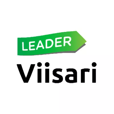 LAG Viisari