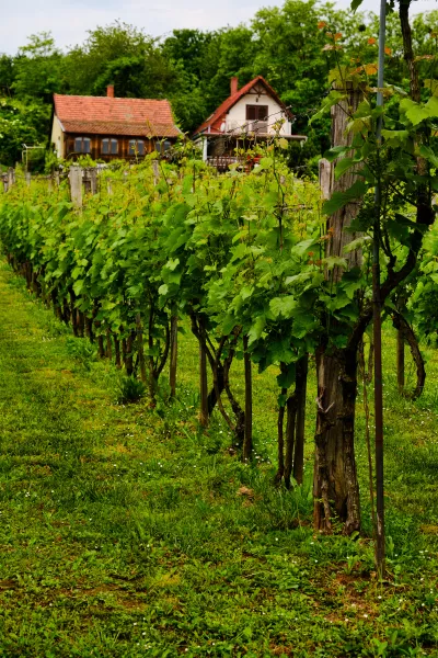 Agriculture in Hungary