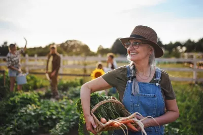 Woman with a basket full of carrots in a field