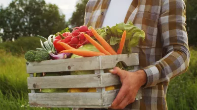 A man wearing a plaided shirt holding a vegetable basket