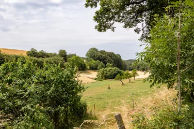 A field surrounded by trees and bushes