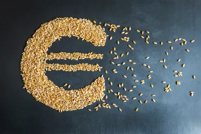 Economic Impacts