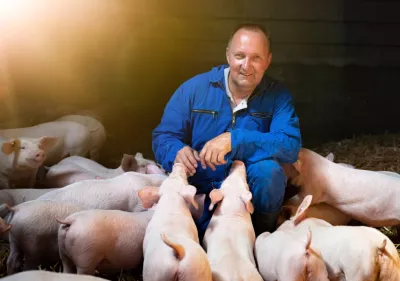 A young farmer with his piglets