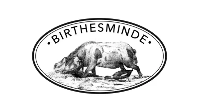 Birthesminde logo