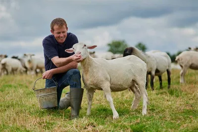 Flock health and nutrition management: Best practices for sheep farmers