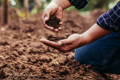 Support to apply for soil health Living Labs Open Calls funded by the EU Mission 'A Soil Deal for Europe'