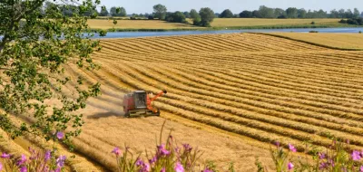 truck working in a cereal field