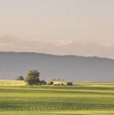 A field with a pink sky