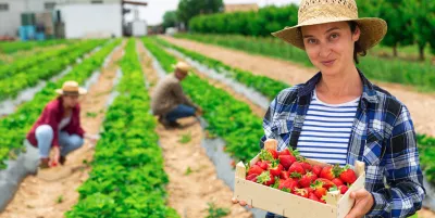 Portrait of woman farmer engaged in cultivation of strawberries