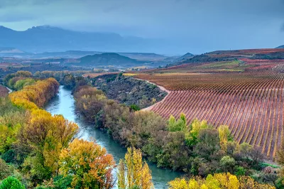 Vineyards in La Rioja, Spain