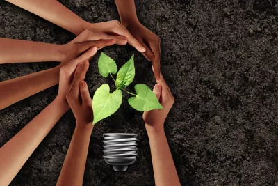 Hands around a plant, symbolizing growth and innovation