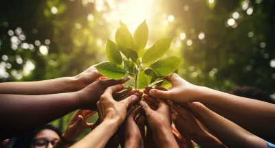 A group of hands holding a plant