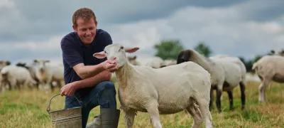 A man petting a sheep