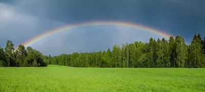 A green field surrounded by trees with a rainbow over it