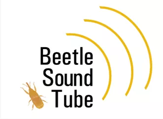 Beetle Sound Tube – early acoustic detection of grain storage insect pests logo
