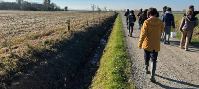 A group of people walking on a path