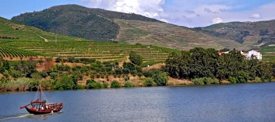 Vinicolas do Vale do Douro - Portugal