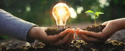Hand holding lightbulb with small tree and sunshine. concept energy power in nature