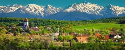 Hosman village with daffodils field and snowy mountains, Transylvania, Romania