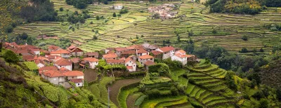 Aerial shot of the terrace fields at Sistelo, Portugal