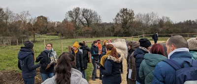 People visiting a farm with horses
