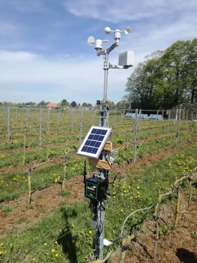 A solar powered sensor in a vineyard.