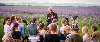 Farm visit for children with purple flowers in background