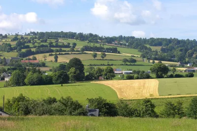 Fields with high-diversity landscape features