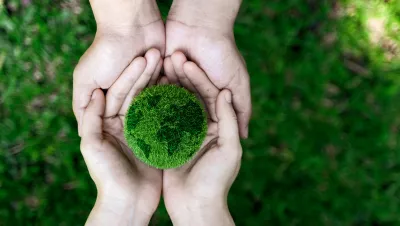 hands holding a small ball of grass