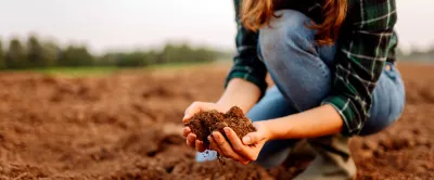 Hand of farmer checking soil health