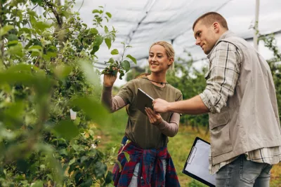 Male and female farmers work together in the orchard