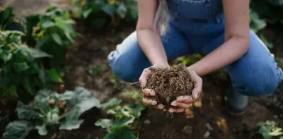 farmer's hands holding soil