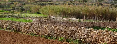 Landwirtschaft auf Malta