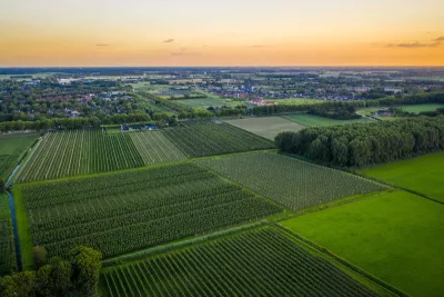 Sunset aerial photo above rows with old plum or pear fruit trees from farm orchards. Photo is taken in the evening in Beuningen, Gelderland, The Netherlands.