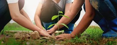 People planting a tree together showing collaboration and sustainability