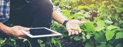 smart farmer using technology in an agriculture field ;man checking by using tablet in farm field