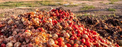 Vegetables thrown into a landfill, rotting outdoors