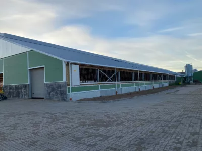 The cow shed of the Dairy farm ZS Rudeņi