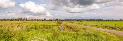 Polder landscape In the Netherlands