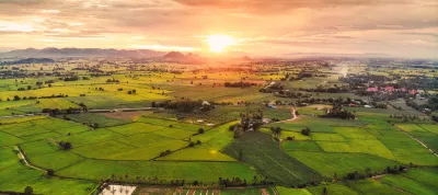 Sunset over lush green paddy field