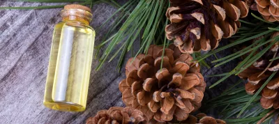 Visual showing by-products from forestry, set in the circular economy, picturing pinecones and pineneedles.