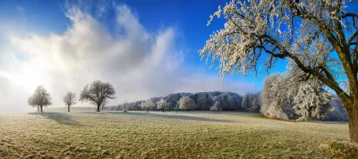 Winter panoramic landscape