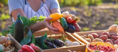 The cover of the Thematic Report: ''Assessment of the sectoral support withing the CAP' showing a woman with a basket of fruits and vegetables