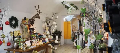 Pop-up shop in rural Austria funded by the CAP (copyright: TSE GmbH)