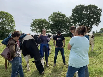 Project partners in field with cows