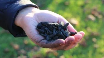 hand holding biochar