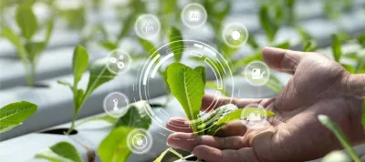 Plants with icons showing digital data about farm activity