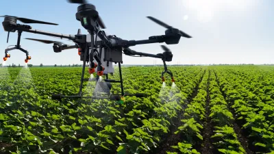 Drone sprayer flies over the agricultural field