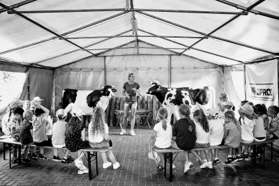 A lesson in milking a cow for kids on one of the Education Farms