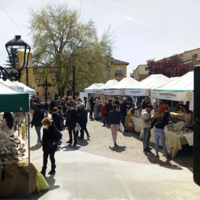 People walking around in an outdoor market with stands